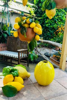 Vaso limone monofiore