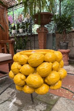 Vaso limone grande